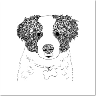 Border Collie Posters and Art